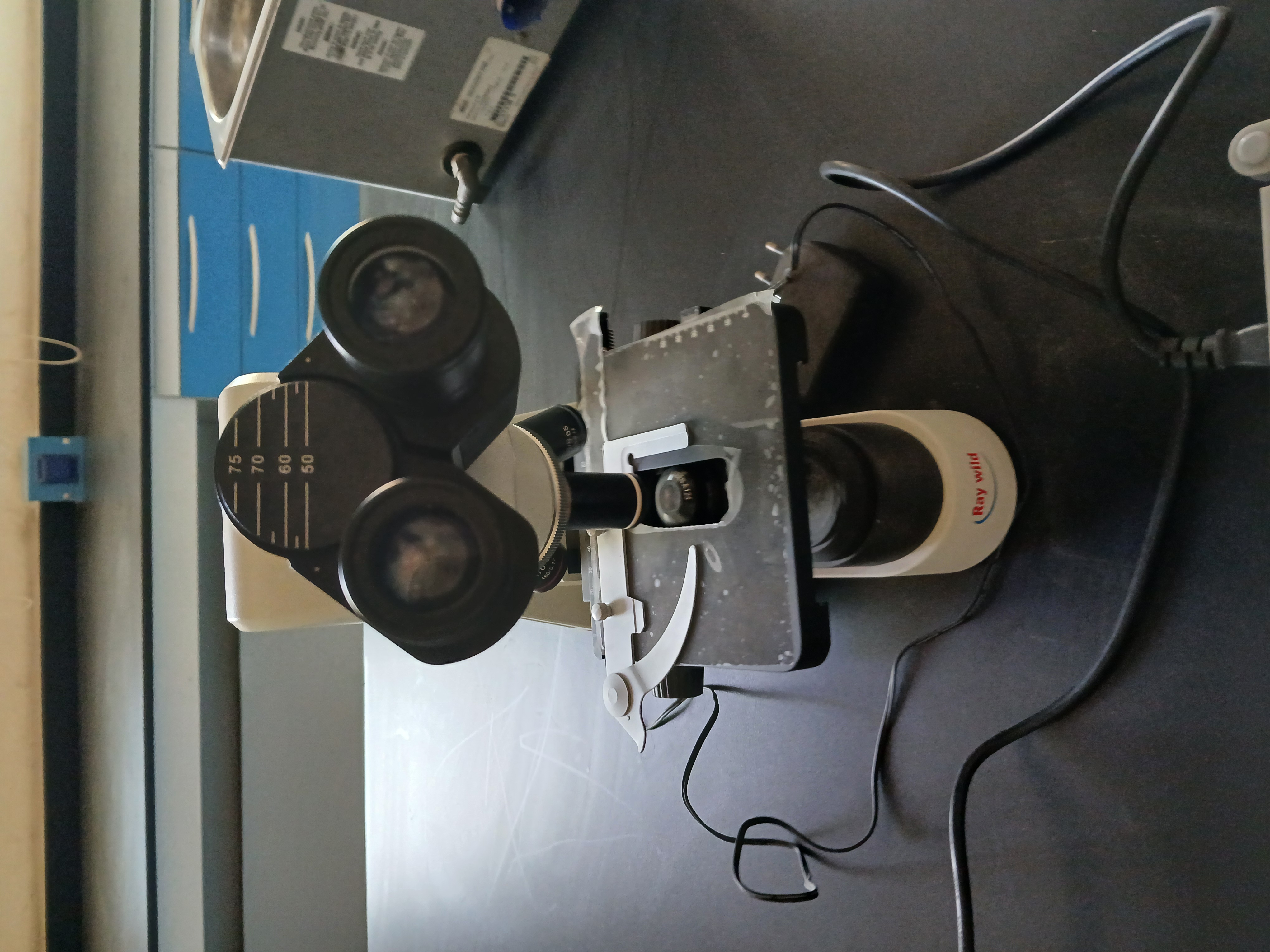 Optical microscope